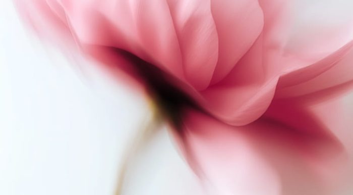 blog4 (1) (1)