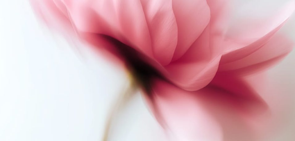 blog4 (1) (1)