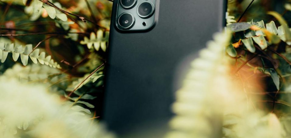 phone